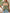 097b9888-8c06-425b-a7a0-e9aa9ed58f72-Max
