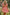 Smocked Sweetheart Neck Flounce Sleeve Mini Dress