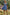 Smocked Sweetheart Neck Flounce Sleeve Mini Dress