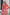 Floral Frill Trim Plunge Flounce Sleeve Dress