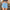 High-Waist Denim Shorts with Pockets