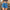 High-Waist Denim Shorts with Pockets
