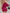 Belted Surplice Neck Long Sleeve Mini Dress