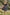 Smocked Sweetheart Neck Flounce Sleeve Mini Dress