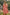 Smocked Sweetheart Neck Flounce Sleeve Mini Dress