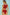 Contrast Trim Two-Piece Swimsuit