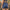 High-Waist Denim Shorts with Pockets
