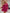 Belted Surplice Neck Long Sleeve Mini Dress