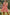Smocked Sweetheart Neck Flounce Sleeve Mini Dress